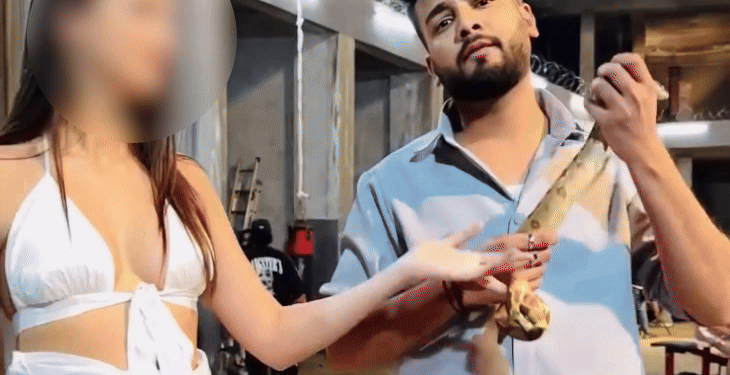 Elvish Yadav Snake Venom Case Petition In Supreme Court Noida Police | UP Government | एल्विश यादव को सुप्रीम कोर्ट से बड़ी राहत: सांप के जहर से जुड़ी आपराधिक कार्यवाही पर रोक लगाई, यूपी सरकार से जवाब मांगा – Noida (Gautambudh Nagar) News