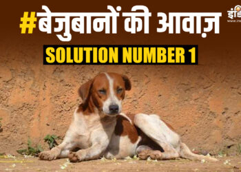 #बेजुबानों की आवाज़: India TV की मुहिम में बढ़ चढ़कर हिस्सा ले रहे लोग, जानिए Solution Number 1 क्या बताया?
