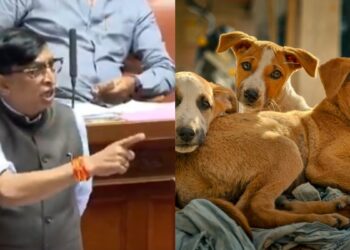 जब कर्नाटक के नेता बोले- बच्चों की खातिर 2800 कुत्तों को मार डाला, जेल भी जाना पड़े तो तैयार