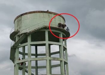 जब ‘शोले’ का वीरू बन गया सांड, 50 फीट ऊंची पानी टंकी पर चढ़ गया, फिर…VIDEO