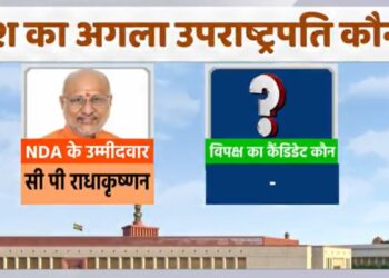 कौन बनेगा देश का अगला उपराष्ट्रपति, NDA और INDIA के पास है कितना वोट? यहां समझिए आंकड़ों का गणित