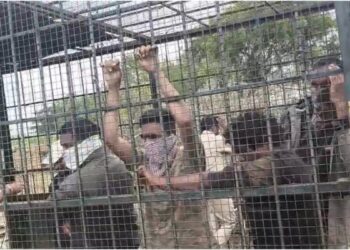 वन विभाग के कर्मचारियों को बाघ पकड़ने वाले पिंजरे में किया बंद, ग्रामीणों का अनोखा विरोध प्रदर्शन