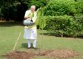 PM मोदी ने अपने आवास पर लगाया कदम्ब का पौधा, किंग चार्ल्स तृतीय ने दिया था गिफ्ट