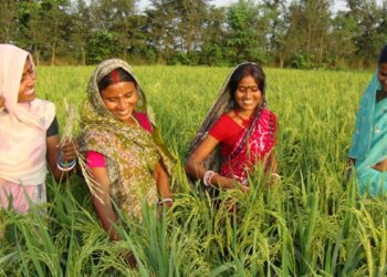 गुड न्यूज! बिहार में महिलाओं को ₹10,000 कब मिलेगा? सरकार ने बता दी तारीख, जानें किसको किस दिन मिलेगा