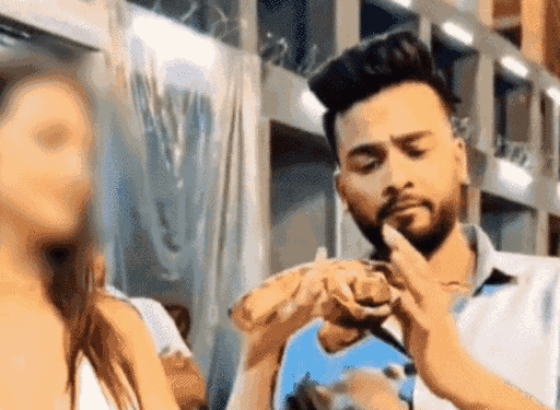 ED Files Chargesheet Against Elvish Yadav and Fazilpuria in Snake Venom Money Laundering Case | एल्विश यादव और राहुल फाजिलपुरिया के खिलाफ चार्जशीट: ED के पास मनी लान्ड्रिंग के सबूत; गले में सांप-रशियन लड़कियों के साथ वीडियो में फंसे – gurugram News