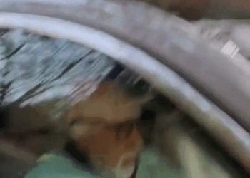 Dharmendra’s treatment continues at home, doctors arrive, sunny deol lashed at papparazzi, amitabh bachchan visit | घर में जारी धर्मेंद्र का इलाज, डॉक्टर पहुंचे: अमिताभ बच्चन ने की मुलाकात, पैपराजी पर भड़के सनी, कहा- शर्म नहीं आती; 12 नवंबर को डिस्चार्ज हुए