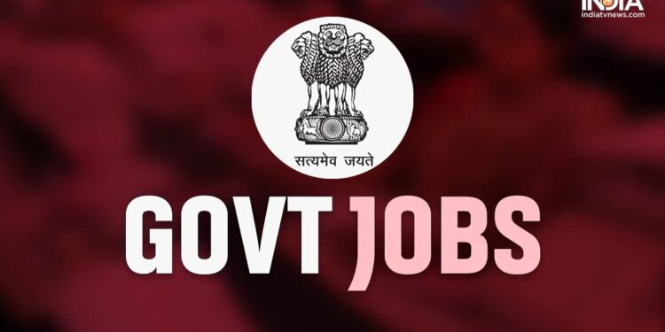 देश के इस राज्य में सरकारी नौकरियों का खुलेगा पिटारा, सीएम ने बताया अगले एक साल में मिलेंगी कितनी नौकरियां?