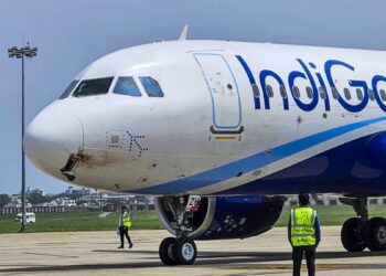 पक्षी से टकराने के बाद क्षतिग्रस्त हुआ इंडिगो का विमान, 186 यात्री थे सवार, ऋषिकेश में हुआ हादसा