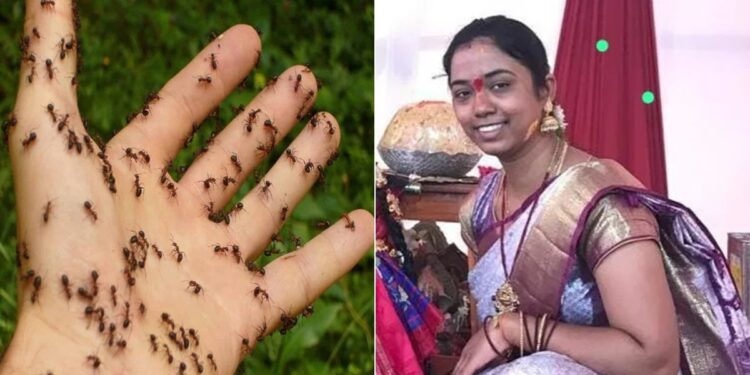 चींटियों के डर से युवती ने लगा ली फांसी, पति के नाम छोड़ा भावुक नोट; सुसाइड का ये किस्सा जानकर हिल जाएगा दिमाग