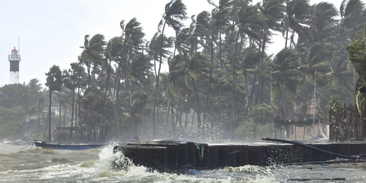 देश के इन हिस्सों में शनिवार को भारी बारिश का रेड अलर्ट, 5 राज्यों में पड़ेगा कोहरा; कोल्ड वेव को लेकर ताजा अपडेट