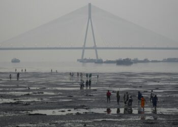 पंजाब, हरियाणा और पूर्वी राजस्थान में शीतलहर की चेतावनी, हिमाचल में बर्फबारी के आसार, जानें अब कैसा रहेगा मौसम