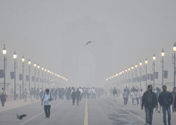 यूपी में घने कोहरे का रेड अलर्ट, 4 राज्यों में भीषण ठंड की चेतावनी, जानें हर राज्य के मौसम का हाल