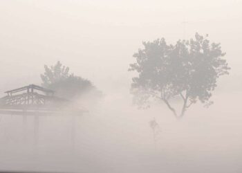 धुंध के मारे नहीं हो पाया T20 मैच, जानें सुबह-सुबह दिल्ली और यूपी में कैसी रहेगी कोहरे की सिचुएशन? IMD ने दी वॉर्निंग