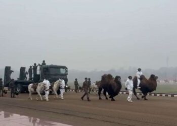बैक्ट्रियन ऊंट, शिकारी पक्षी और जांस्कर पोनी, कर्तव्य पथ पर 26 जनवरी को यूं दिखेंगे भारतीय सेना के ‘मूक योद्धा’