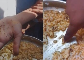 मिड-डे मील के खाने में इतने कीड़े…, घबरा गए छात्र, Video देखकर हैरान हो जाएंगे आप