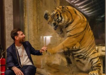 वनतारा में लियोनेल मेसी ने जानवरों के साथ की मस्ती, उन्हें मिलने वाली वर्ल्ड-क्लास देखभाल को सराहा