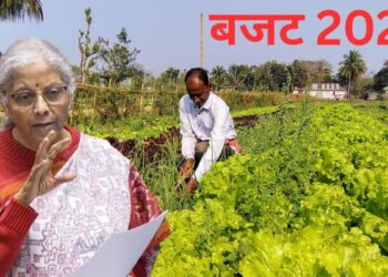 Budget 2026: किसान उत्पादक संगठन के समर्थन को बढ़ा सकती है सरकार!, जानें क्या है और उम्मीदें