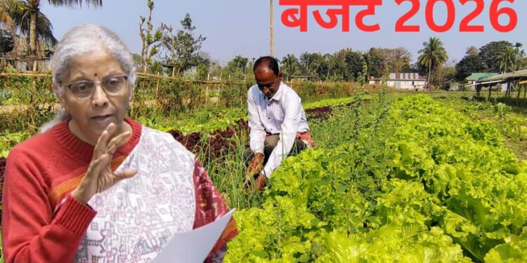 Budget 2026: किसान उत्पादक संगठन के समर्थन को बढ़ा सकती है सरकार!, जानें क्या है और उम्मीदें