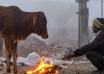 दिल्ली में ठंड का टूटा रिकॉर्ड, हरियाणा में 0.2°C तक पहुंचा तापमान, जानें कब तक मिलेगी शीतलहर से राहत