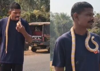 VIDEO बनाने का शौक पड़ा भारी, गले में सांप डालकर बाजार में घूम रहा था, अचानक काटने से बिगड़ी हालत