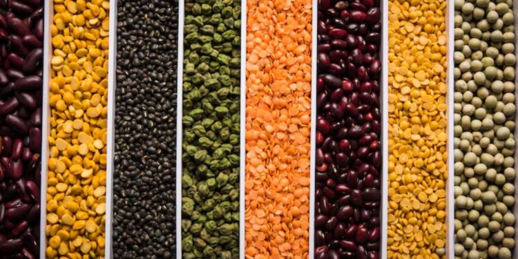 भारत से दालों पर इंपोर्ट ड्यूटी घटाने के लिए अमेरिकी सांसदों ने ट्रंप को लिखी चिट्ठी, जानें पूरा मामला