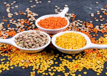 रबी फसल के कवरेज में जोरदार उछाल, दलहन फसलों का रकबा 3.61 लाख हेक्टेयर बढ़ा, इस फसल का जलवा