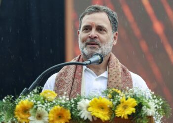 ‘सत्ता का केंद्रीकरण कर रहे बीजेपी और RSS’, राहुल गांधी ने साधा निशाना, जानिए और क्या बोले?