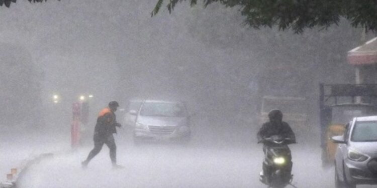 धूप देखकर खुश ना हों, कड़ाके की ठंड अभी बाकी है…दिल्ली-NCR समेत कुछ राज्यों में बारिश का अलर्ट, जानें कैसा रहेगा मौसम