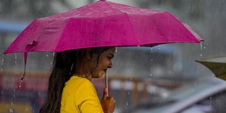 मौसम का बदला मिजाज! ठंड के बीच उत्तर भारत में मुसीबत बढ़ाएगी बारिश; यहां जानें पूरे हफ्ते का वेदर अपडेट