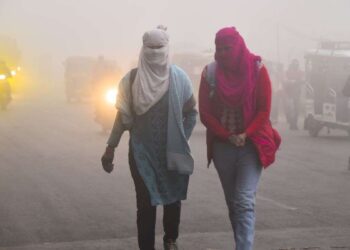 दिल्ली में साल का पहला कोल्ड डे, 13 राज्यों में शीतलहर की चेतावनी; इन इलाकों में बुधवार को पड़ेगा घना कोहरा