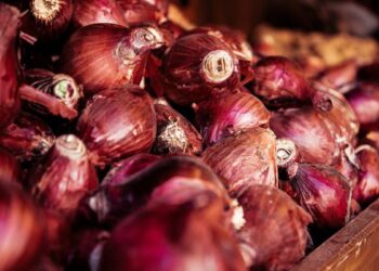 explosives hidden in onion truck ट्रक में प्याज के बीच में छिपाकर रखा था विस्फोटक, पूरा जखीरा देख उड़ गए पुलिसवालों के होश
