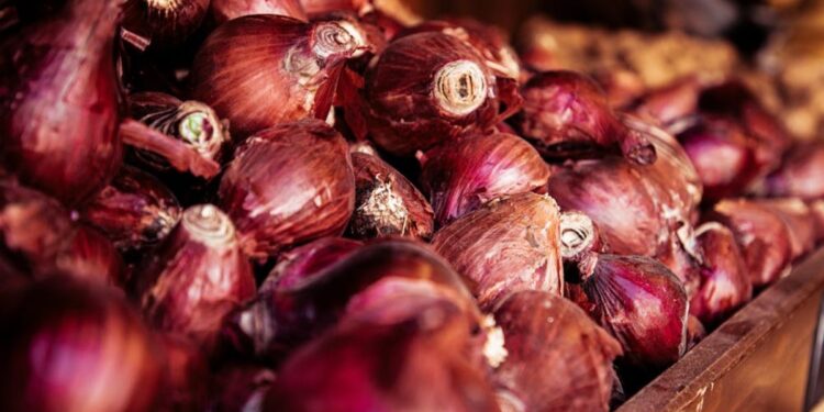 explosives hidden in onion truck ट्रक में प्याज के बीच में छिपाकर रखा था विस्फोटक, पूरा जखीरा देख उड़ गए पुलिसवालों के होश