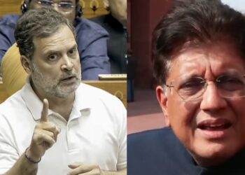 राहुल गांधी के किसानों को लेकर दिए बयान पर बवाल, वाणिज्य मंत्री पीयूष गोयल ने किया सरकार का बचाव, जानें क्या कहा