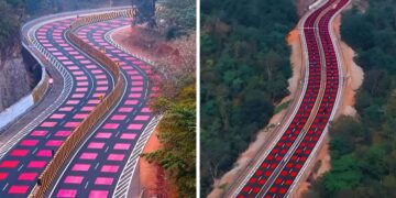 देश में पहली बार! NHAI ने हाईवे पर बनाई लाल पट्टियों वाली अनोखी सड़क, जानिए क्या होगा इससे फायदा?