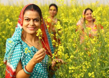 Budget 2026: ग्रामीण महिलाओं के लिए SHE-marts योजना का ऐलान, जानिए कैसे बदल सकती है उनकी जिंदगी!