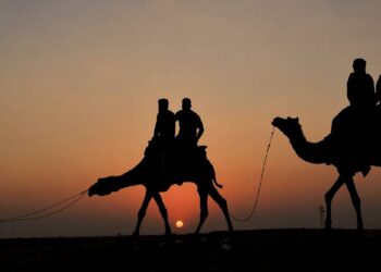 दिल्ली-राजस्थान में टेम्परेचर बढ़ने के आसार, झारखंड-बंगाल समेत 11 राज्यों में बारिश की चेतावनी, पंजाब में घना कोहरा