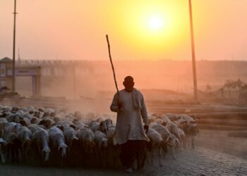 दिल्ली समेत कई राज्यों में 3-5°C तक बढ़ेगा तापमान, फरवरी में मार्च जैसी गर्मी, महाराष्ट्र-तमिलनाडु में 36.6°C तक पहुंचा पारा