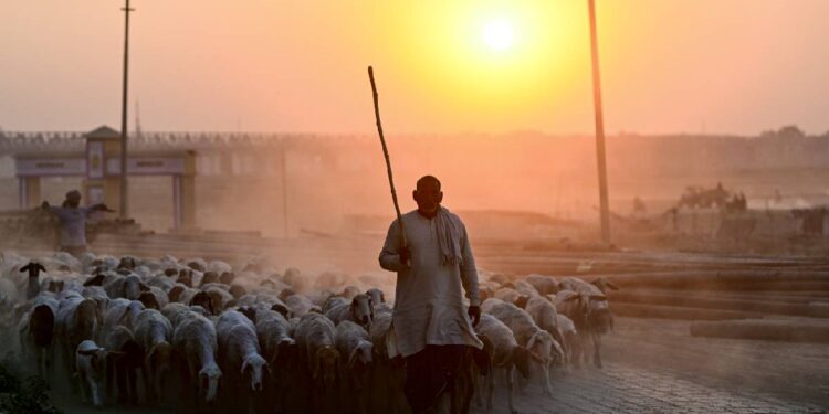 दिल्ली समेत कई राज्यों में 3-5°C तक बढ़ेगा तापमान, फरवरी में मार्च जैसी गर्मी, महाराष्ट्र-तमिलनाडु में 36.6°C तक पहुंचा पारा
