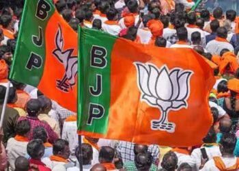 Panaji Nagar Nikay Election Results 2026: पणजी नगर निकाय चुनाव में BJP की ‘सुनामी’, 30 में से 27 वार्ड में हासिल की जीत; देखें विजेताओं की पूरी लिस्ट