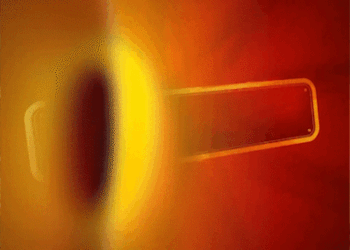 Rohit Shetty Announces Golmaal 5 Shooting Start