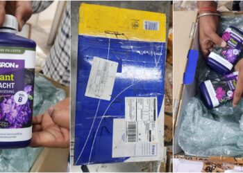 डार्कनेट ड्रग माफिया पर NCB का करारा प्रहार, ‘टीम कल्कि’ का भंडाफोड़, कई देशों तक फैला था नेटवर्क