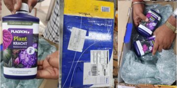 डार्कनेट ड्रग माफिया पर NCB का करारा प्रहार, ‘टीम कल्कि’ का भंडाफोड़, कई देशों तक फैला था नेटवर्क