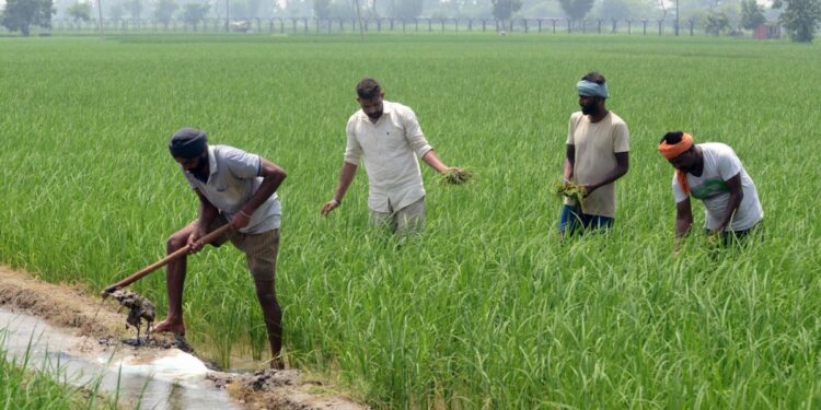 पीएम किसान: आज आएंगे 22वीं किस्त के 2000 रुपये, PM मोदी देश को देंगे 3 नई ट्रेनों की सौगात