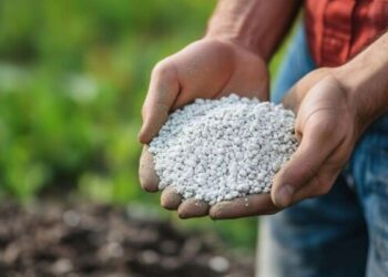 खाद संयंत्रों में इस्तेमाल होने वाली गैस की कीमतों में 60% की भारी बढ़ोतरी, सरकार पर बोझ बढ़ने की संभावना