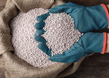 देश में उर्वरक की कोई कमी नहीं, लंबे समय तक चलता रहा युद्ध तो खड़ा हो सकता है संकट