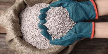 देश में उर्वरक की कोई कमी नहीं, लंबे समय तक चलता रहा युद्ध तो खड़ा हो सकता है संकट