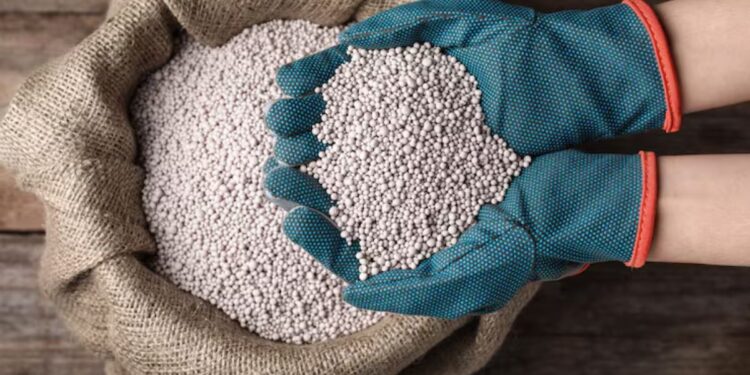 देश में उर्वरक की कोई कमी नहीं, लंबे समय तक चलता रहा युद्ध तो खड़ा हो सकता है संकट