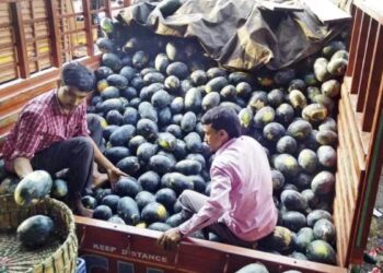 मिडिल ईस्ट की जंग ने डुबोया मुंबई का फ्रूट मार्केट! कौड़ियों के दाम बिक रहे फल, व्यापारियों के निकले आंसू