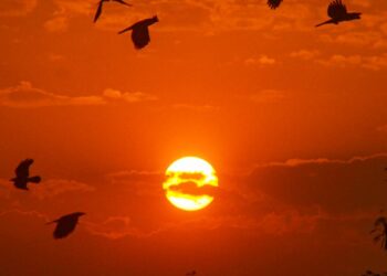 मार्च में अप्रैल जैसी गर्मी के लिए रहें तैयार! ओडिशा में 39.6°C तक पहुंचा टेम्परेचर, यूपी-बिहार समेत कई राज्यों में बढ़ा तापमान