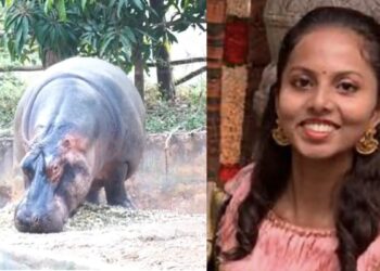 हिप्पोपोटामस के हमले में ट्रेनी वेटरनरी ऑफिसर की मौत, तापमान जांचने के दौरान जानवर ने किया था हमला